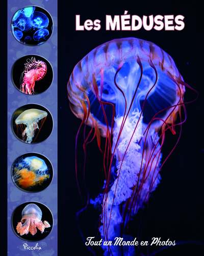 Image de Les méduses