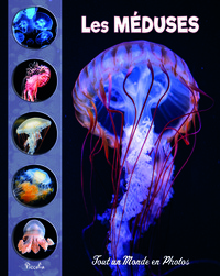 Image de Les méduses