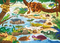 Picture of Les reptiles