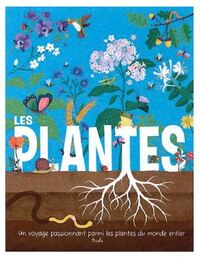 Image de Les plantes