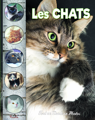 Image de Les chats
