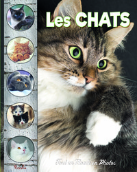Image de Les chats