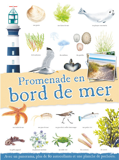 Picture of Promenade en bord de mer