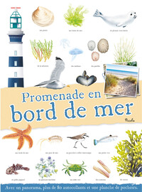 Picture of Promenade en bord de mer
