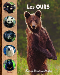 Image de Les ours