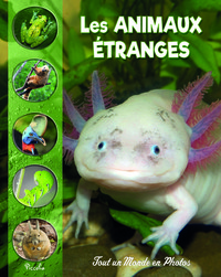 Image de Les animaux étranges et méconnus