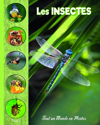 Image de Les insectes