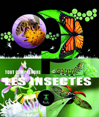 Image de Les insectes - Tout comprendre