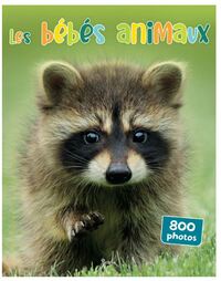 Picture of Les bébés animaux 800 photos