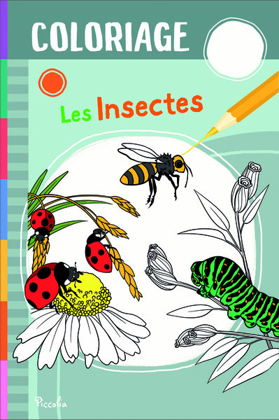Picture of Les insectes - Coloriage