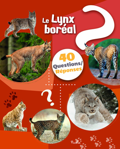 Image de Le lynx - 40 questions / réponses
