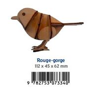 Image de Rougegorge