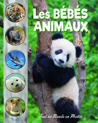 Picture of Les bébés animaux