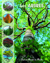 Image de Les arbres