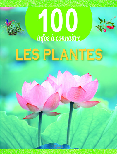Image de Les plantes - 100 infos à connaître