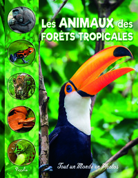 Image de Les animaux des forêts tropicales