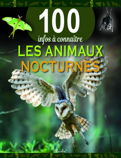 Image de Les animaux nocturnes - 100 infos à connaître