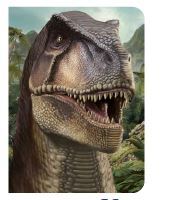 Picture of T Rex