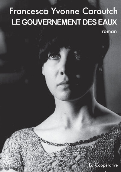 Picture of LE GOUVERNEMENT DES EAUX