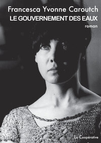 Picture of LE GOUVERNEMENT DES EAUX