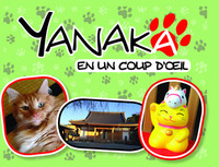 Image de Yanaka en un coup d'oeil