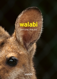 Picture of Walabi