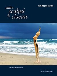 Picture of Entre Scalpel et Ciseau