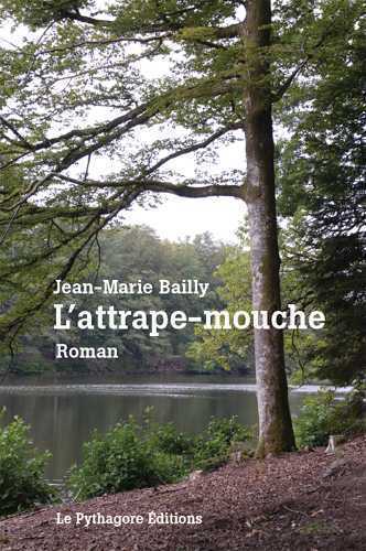Image de Attrape-mouche (L')
