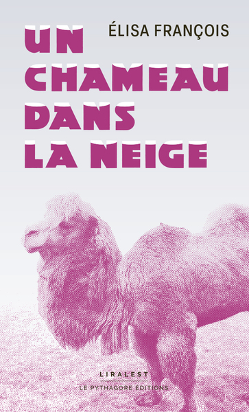 Image de Un chameau dans la neige