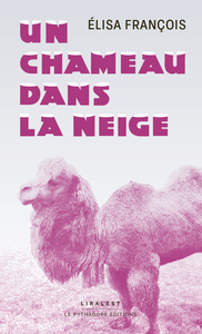 Image de Un chameau dans la neige