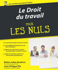 Picture of Le droit du travail Pour les Nuls, 3e
