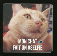 Picture of Mon chat fait un #selfie