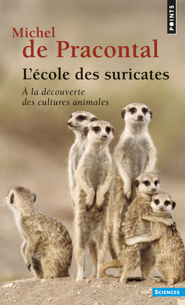 Picture of L'Ecole des suricates