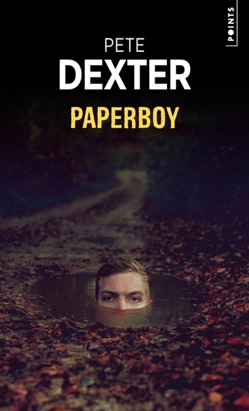 Image de Paperboy
