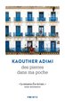 Image de Des pierres dans ma poche