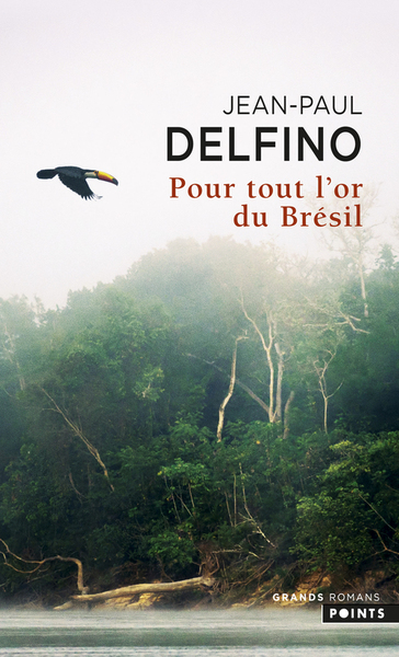 Image de Pour tout l'or du Brésil