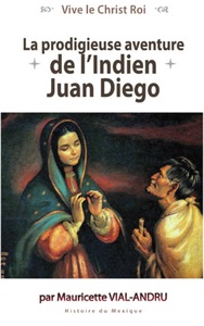 Picture of La prodigieuse aventure de l'indien Juan Diego