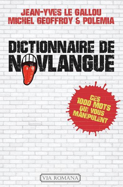 Picture of Dictionnaire de novlangue