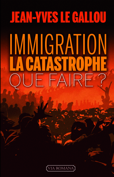 Image de Immigration : la catastrophe