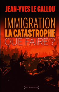 Image de Immigration : la catastrophe