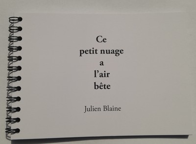 Picture of Ce petit nuage à l'air bête
