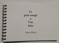 Picture of Ce petit nuage à l'air bête