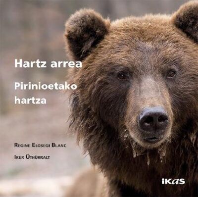 Image de HARTZ ARREA, PIRINIOETAKO HARTZA
