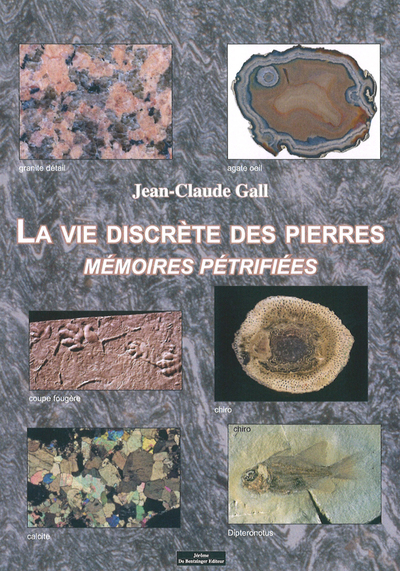 Picture of La vie discrète des pierres