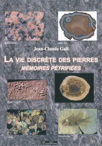 Picture of La vie discrète des pierres