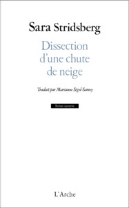 Image de Dissection d'une chute de neige