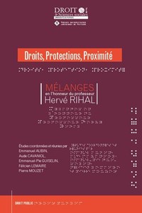Picture of Mélanges en l'honneur du Professeur Henri Rihal