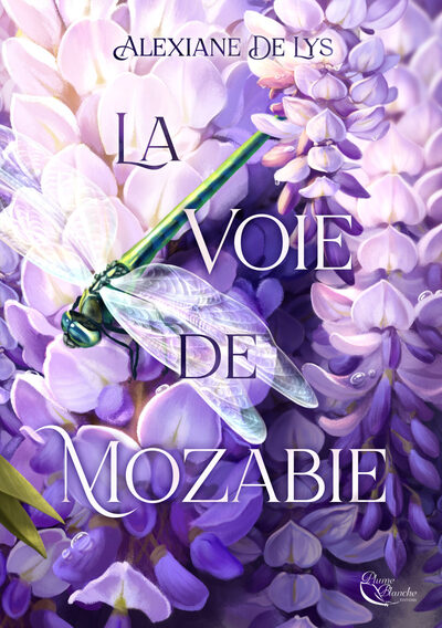Image de La Voie de Mozabie