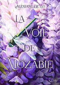 Image de La Voie de Mozabie