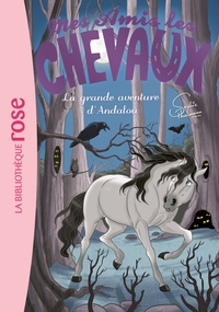 Image de Mes amis les chevaux 21 - La grande aventure d'Andalou